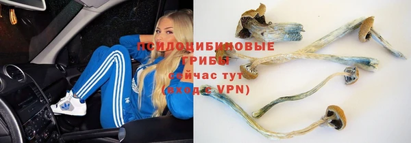 индика Армянск