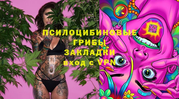 индика Армянск