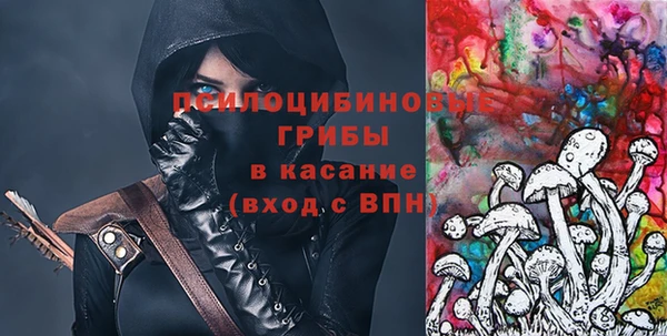 индика Армянск