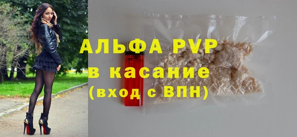 индика Армянск
