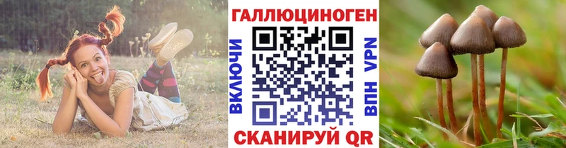 Галлюциногенные грибы мицелий  магазин    Рудня 